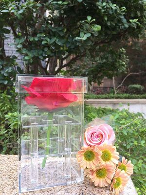Acryl de Opslagdoos Enige Bewaarde Rose Acrylic Box van de barstweerstand
